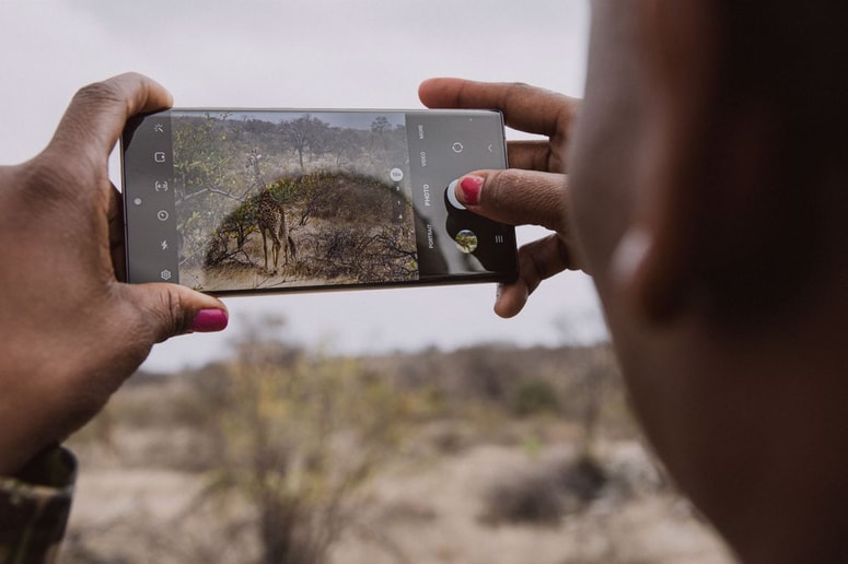 Glavna fotografija članka:Samsung razširja program Wildlife Watch opazovanja divjih živali za zaščito pred divjim prekupčevanjem