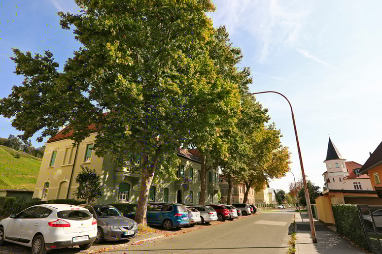 Stanovalci Kamniške ulice 26 se že dalj časa pritožujejo nad negativnimi posledicami organskega odpada, ki ga povzročajo štiri platane ob tej večstanovanjski gradnji. 