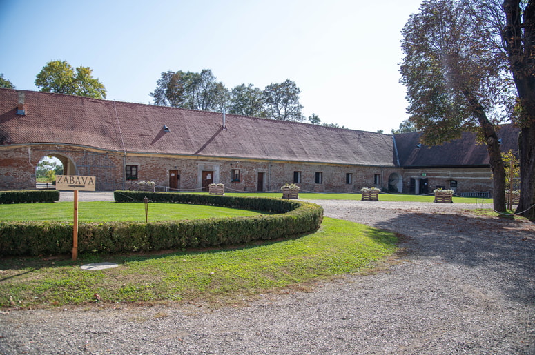 Glavna fotografija članka:RIS Dvorec Rakičan bo reševala Tatjana Buzeti