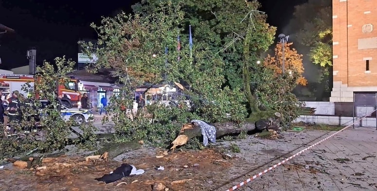 Petkova Martinova furenga se je končala tragično. Stara lipa je pod seboj pokopala 73-letno domačinko. 