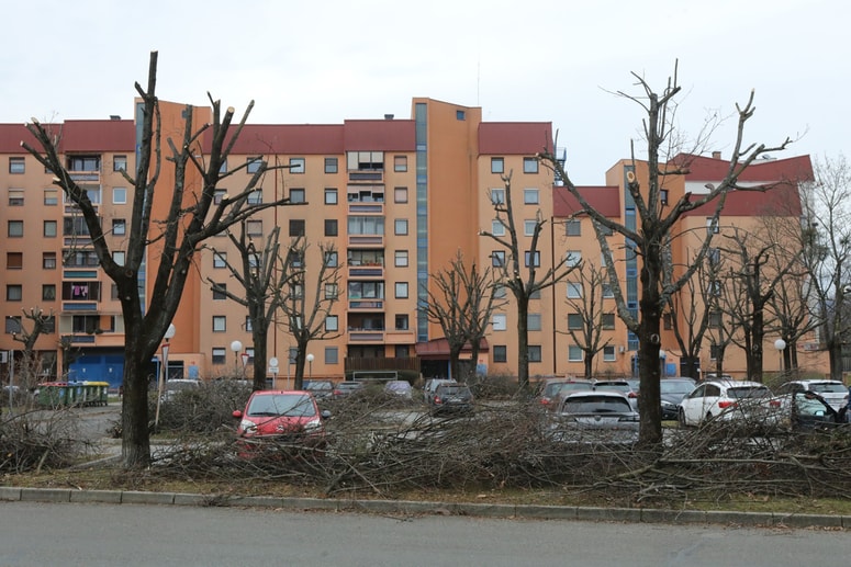 Obglavljeno drevo oslabi, zaradi odprtih delov je omogočen hitejši vdor patogenih organizmov, propade tudi del koreninskega sistema. 