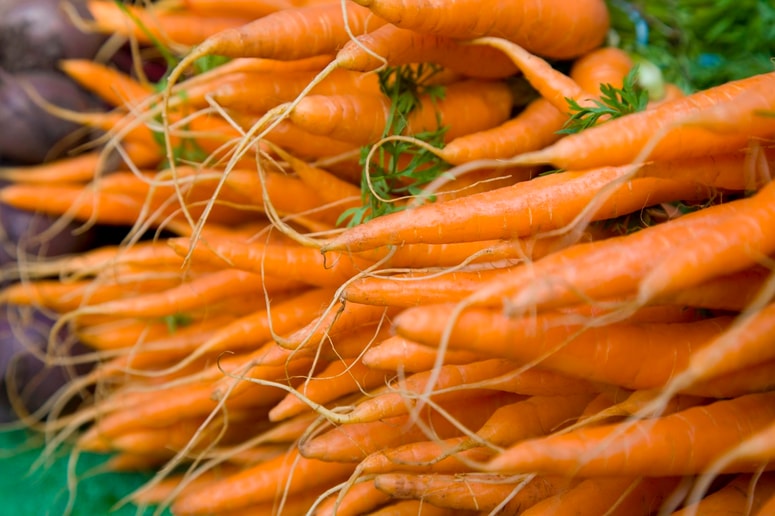 Glavna fotografija članka:Nasveti Miše Pušenjak: S setvijo korenčka in peteršilja raje še nekoliko počakajte