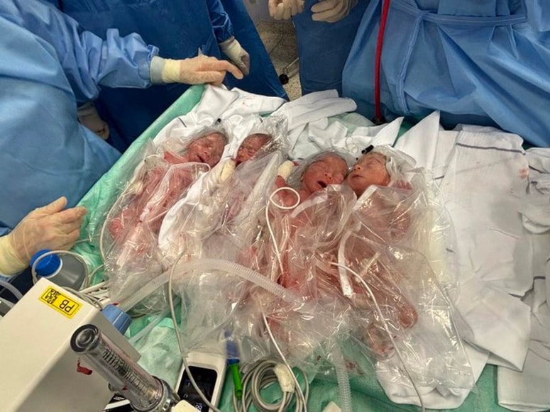 Počasi, a vztrajno po razvojnih mejnikih lovijo vrstnike in so, kot so se prepričali na lastne oči, zelo živahni, skoraj nemogoče jih je bilo ujeti v objektiv.