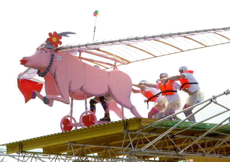 Glavna fotografija članka:(FOTO) Samo za pogumne: V Maribor po 19 letih spet prihaja dan letenja