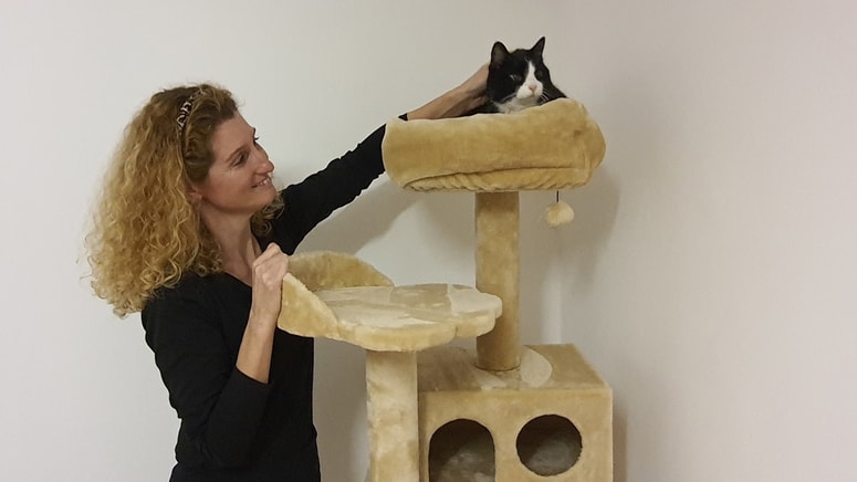 Mačji hotel Simba v Doleni, lastnica Jožica Sluga 