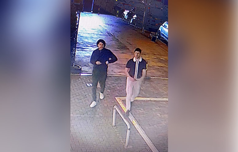 Osumljenca za uboj MMA borca Stefana Savića