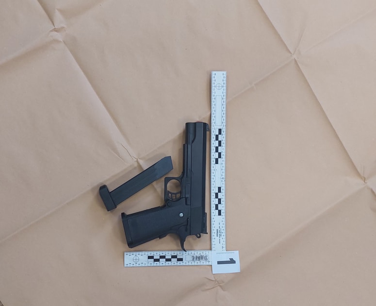 Najmanj petih kaznivih dejanj je osumljen 21-letni državljan Srbije. Imel pa je tudi sostorilca. 