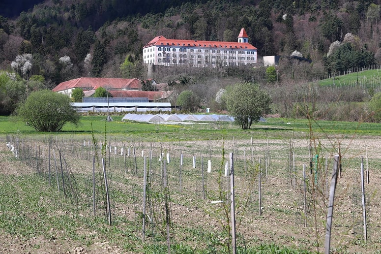 Univerzitetni kmetijski center, ki se razprostira tudi pod fakulteto v Pivoli, na nekaterih kmetijskih področjih ne ustvarja dovolj prihodka.