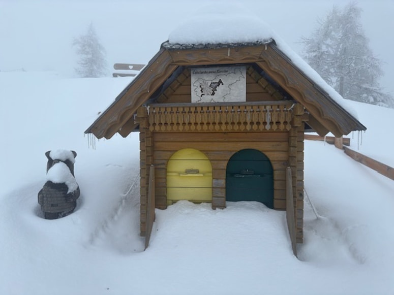 Najvišje ležeči čebelnjak na Uršlji gori je konec aprila zasnežilo. 