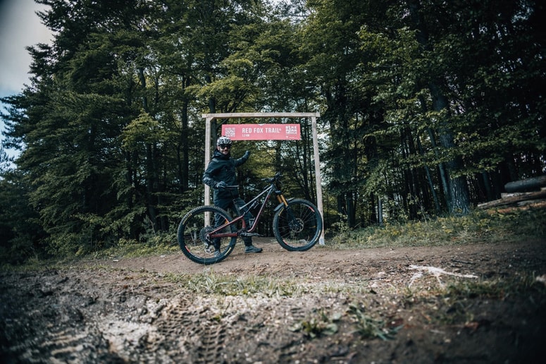 Nova proga Red Fox Trail poteka skozi gozd vzhodno od sedežnice Radvanje. 