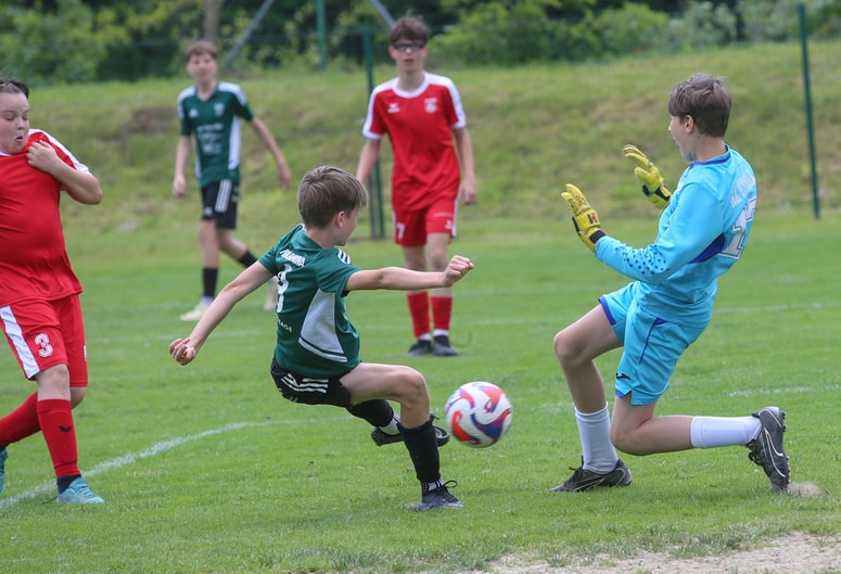 Zanimivih prizorov pred vrati je bilo veliko. 