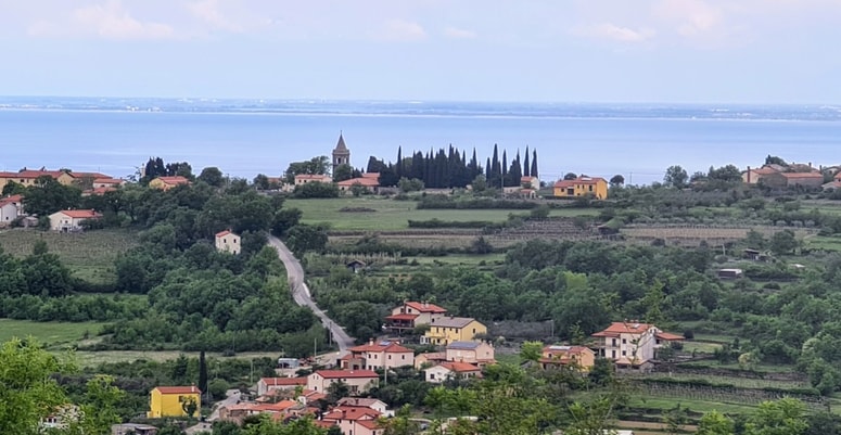 Slovenska Istra, kjer pogled iz zelenega zaledja seže vse do morja.