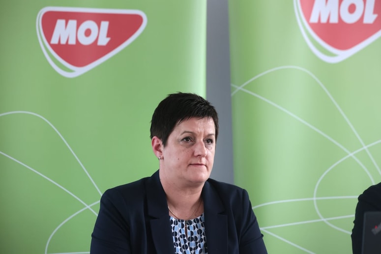 Valerija Glavač: "Z razliko v ceni, ki jo določa vladna uredba, še zdaleč ne moremo pokriti stroškov. To tudi pomeni, da smo v primerjavi s sosednjimi državami, recimo Hrvaško, manj ugodni."