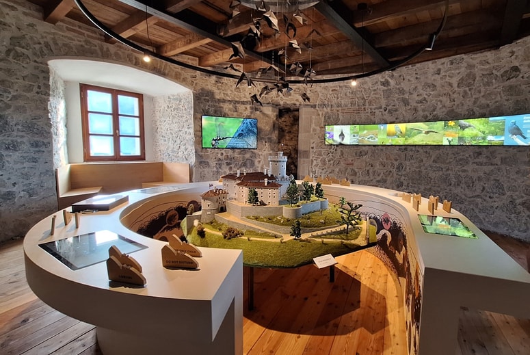 Soba s predstavitvijo zaščitene narave, na območju katere kraljuje grad. 