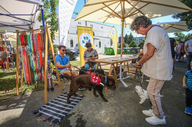 Glavna fotografija članka:Pes ni igrača