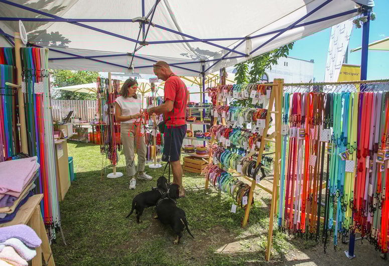 Glavna fotografija članka:4hound – zasnovano za pse, narejeno za pustolovščine