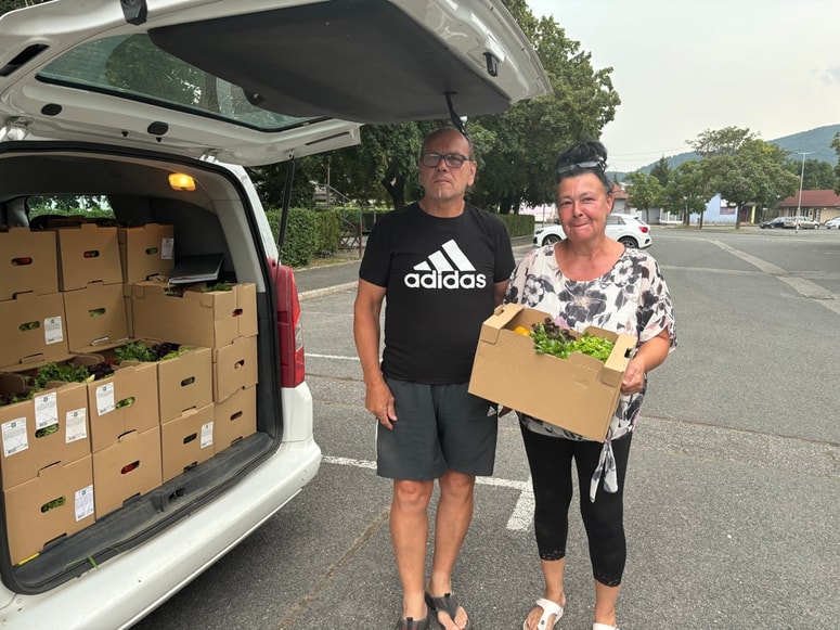 Anita Zajc z možem Dragom prideluje zelenjavo na domačem vrtu in jo prodaja. "Od tega živiva," pravita.