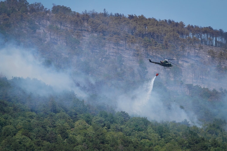 Glavna fotografija članka:(FOTO in VIDEO) Na požarišču na Krasu ponoči ostaja 350 gasilcev