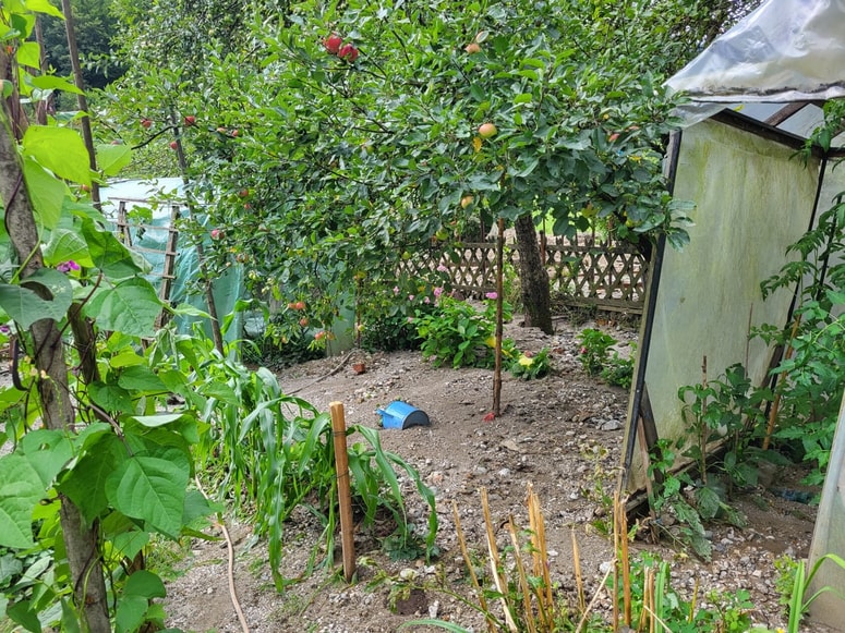 Črna na Koroškem, poplave Črna, neurje, Romana Lesjak 