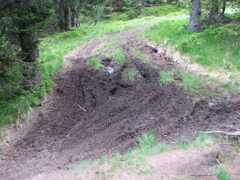 Glavna fotografija članka:(PISMO BRALCA) Vozniki motorjev za motokros so vladarji pohorskih gozdov