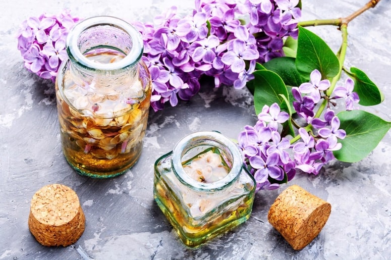 Vonj španskega bezga vas bo spomnil na tople poznopomladne večere. 