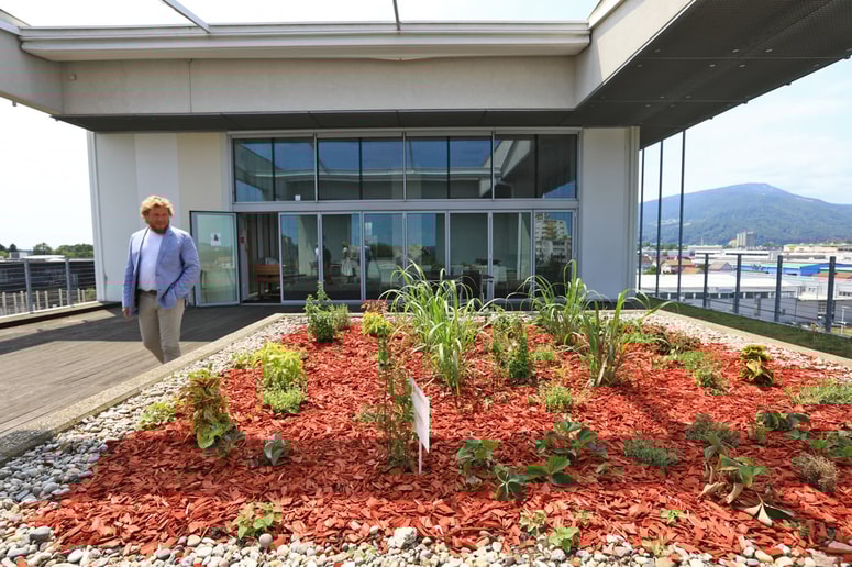 Poslovodja Viktor Gryban je velik zagovornik narave in zelenega načina življenja. 