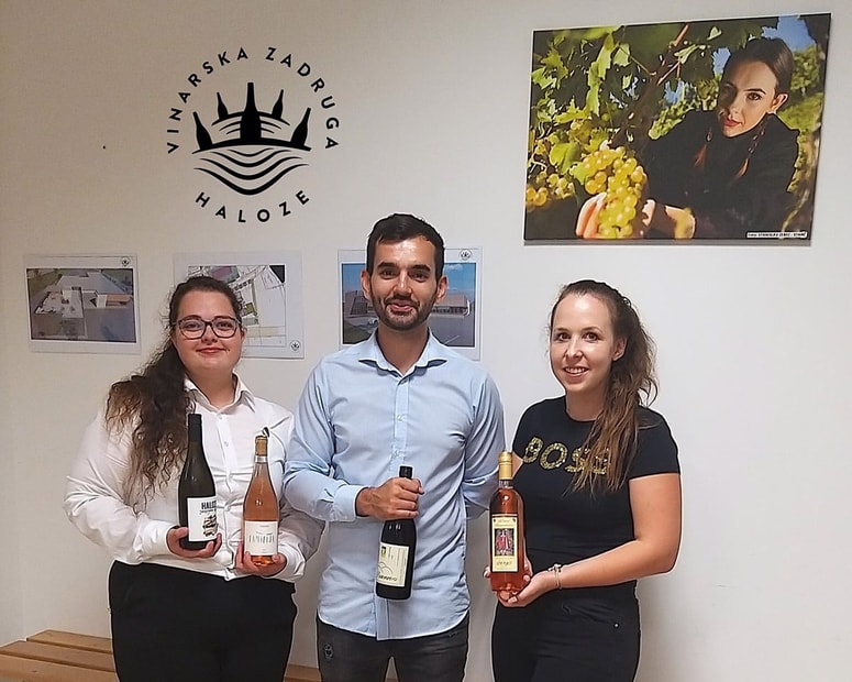 Mladi člani Vinarske zadruge Haloze so na predaji prostorov v Podlehniku poskrbeli za prezentacijo kakovostnih vin iz Haloz.