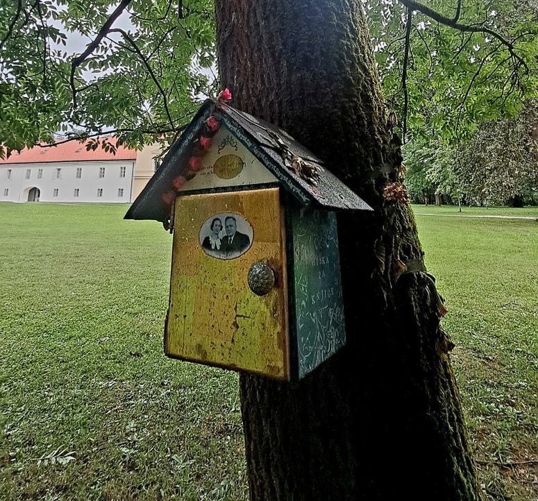 Glavna fotografija članka:(ČRTICE IZPOD PECE) Vsak rabi svoj park