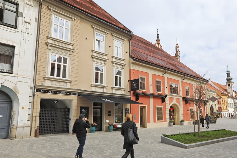 Glavna fotografija članka:Koroško cesto po prenovi ozelenjuje ginko. Na bujno zelenje bo treba še čakati, saj to drevo raste bolj počasi