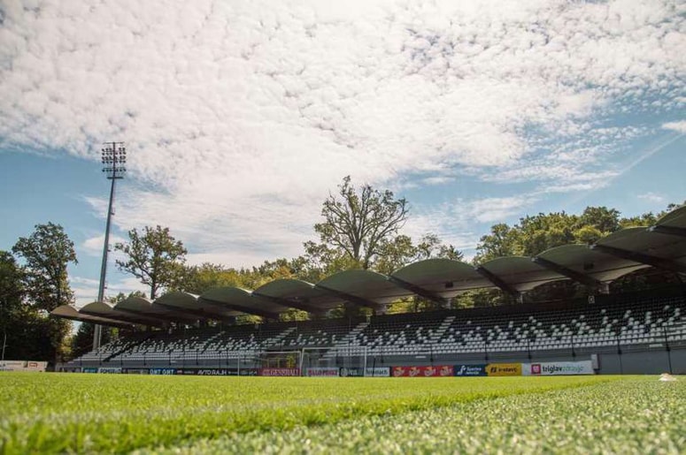 Ne le na Fazaneriji, murašice bodo trenirale tudi daleč na jugu ... 