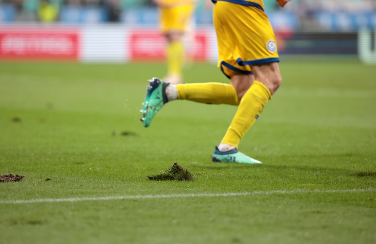 Na oziroma ob slovenskih zelenicah je te dni zelo pestro. 