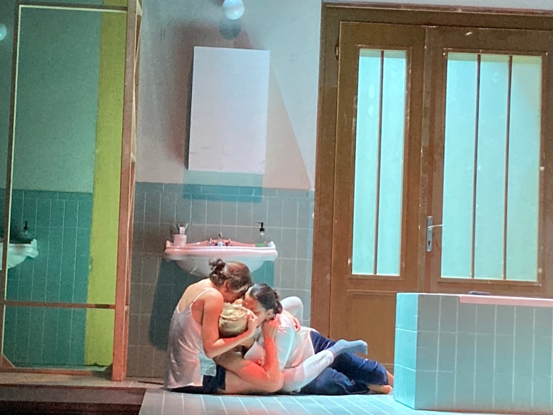 Gledališka predstava Pet vrst tišine avtorice Shelagh Stephenson, ki jo je režirala Maša Pelko, se začne z umorom očeta, ob njegovem truplu so v kopalnici žena in odrasli hčeri.
