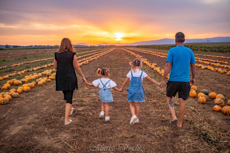 Glavna fotografija članka:(ODPRTI HORIZONTI) Začne se s koraki v domačem okolju