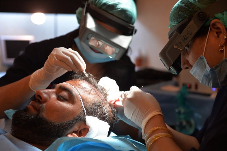 Postopek presaditve las je v zadnjih letih močno napredoval. Fotografija je simbolična. 