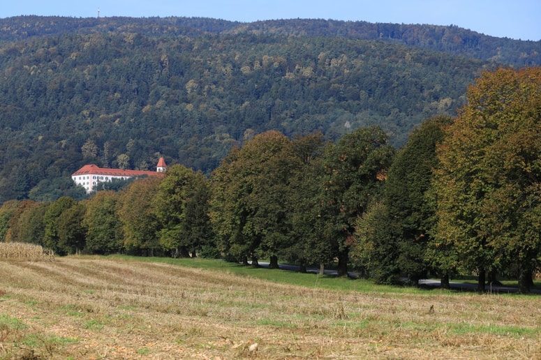 Glavna fotografija članka:(FOTO) Zakaj občina Hoče-Slivnica zaradi izgubljenih 350 tisoč evrov toži državo