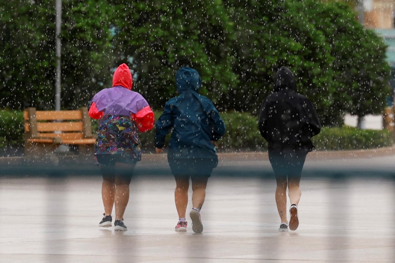 Glavna fotografija članka:Milton nad Florido: Oblasti rotijo prebivalce, naj se ne zanašajo, da bo orkan oslabel. Kaj pravi Slovenka, ki tam živi?