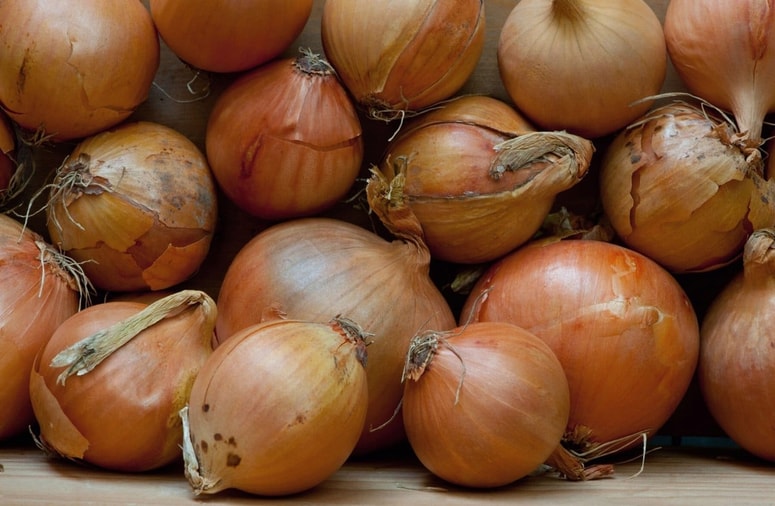 Glavna prednost tega izdelka se skriva v njegovi praktičnosti.