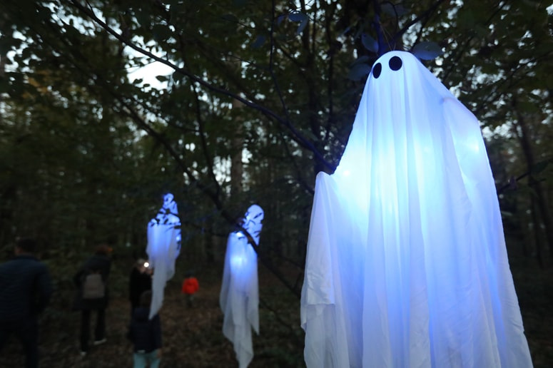 Glavna fotografija članka:Magični gozd: V Rogozi znova čakajo čarovnice, duhovi in druga strašljiva bitja