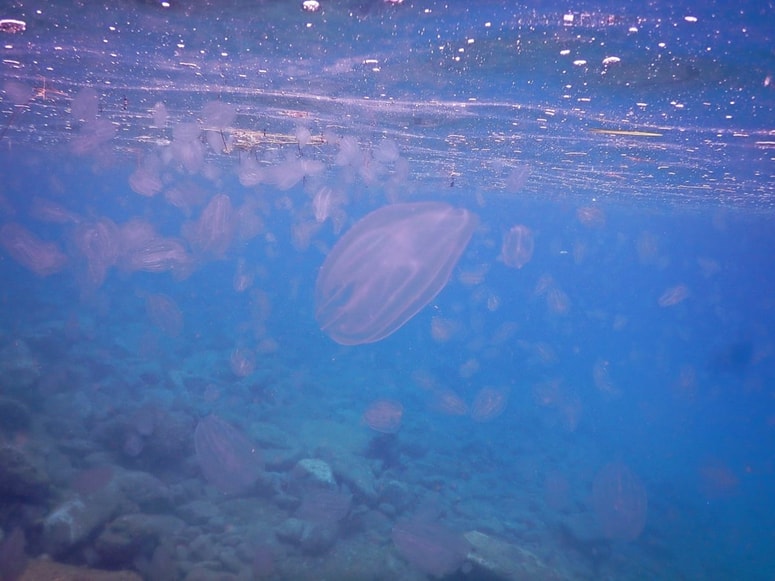 Fotografija je ilustrativna. 