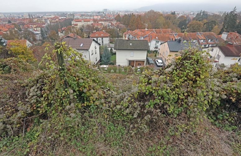Glavna fotografija članka:(PISMO BRALCA) Občina kliče na pomoč