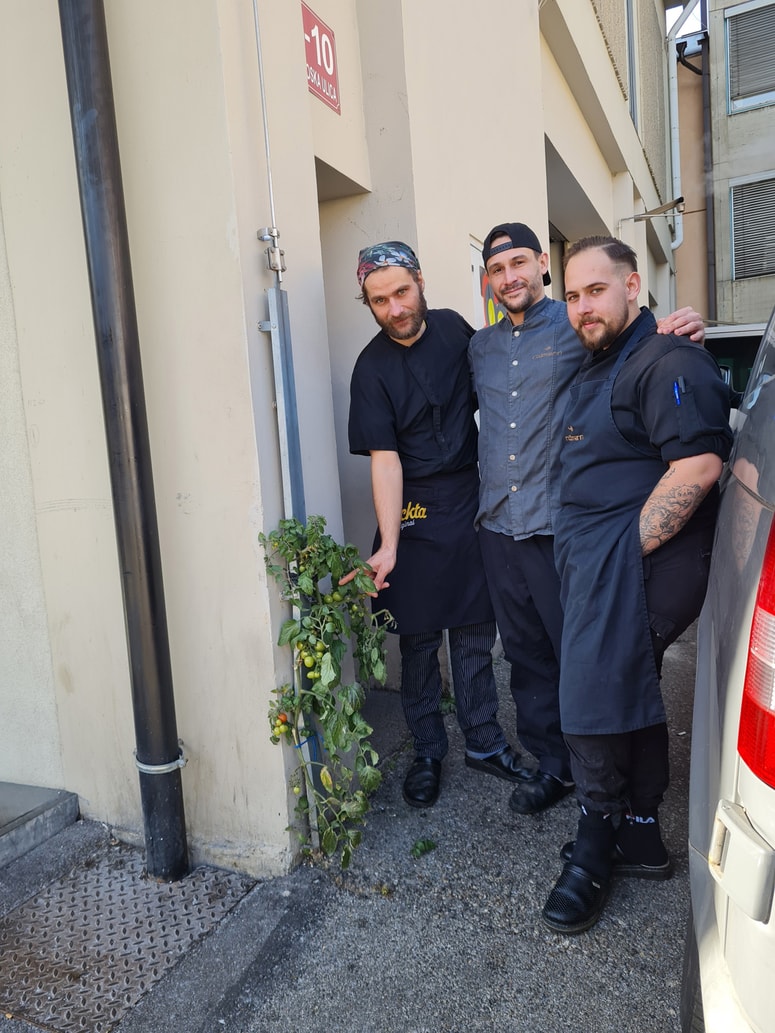 Trije chefi ob svojem paradižniku: Marko Keber, Nino Sovec in Jure Zelenik