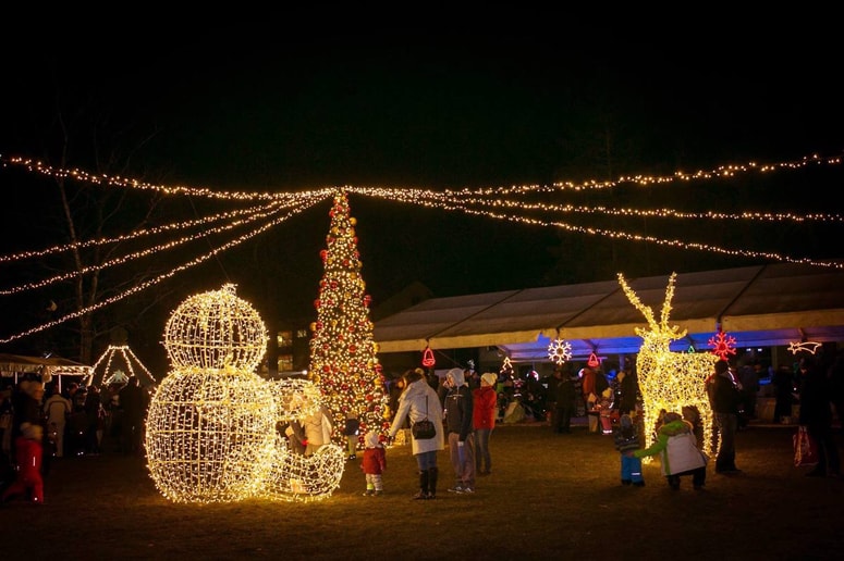 Park pod tisočerimi zvezdami 