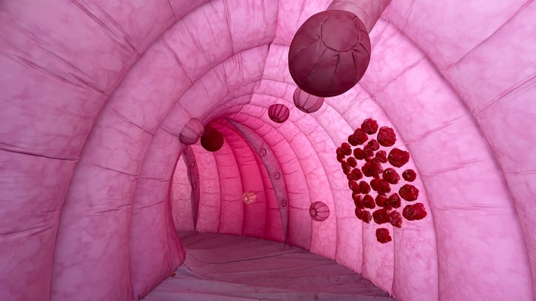 Posebej visoko udeležbo v programu Svit beležijo v Mislinji in Slovenj Gradcu, dobro odzivnost pa tudi na Prevaljah, v Dravogradu in Vuzenici. 