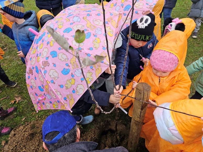 Glavna fotografija članka:Na dvorišču enote Kosarjeva Vrtca Ivana Glinška Maribor so zasadili pet jablan starih sort