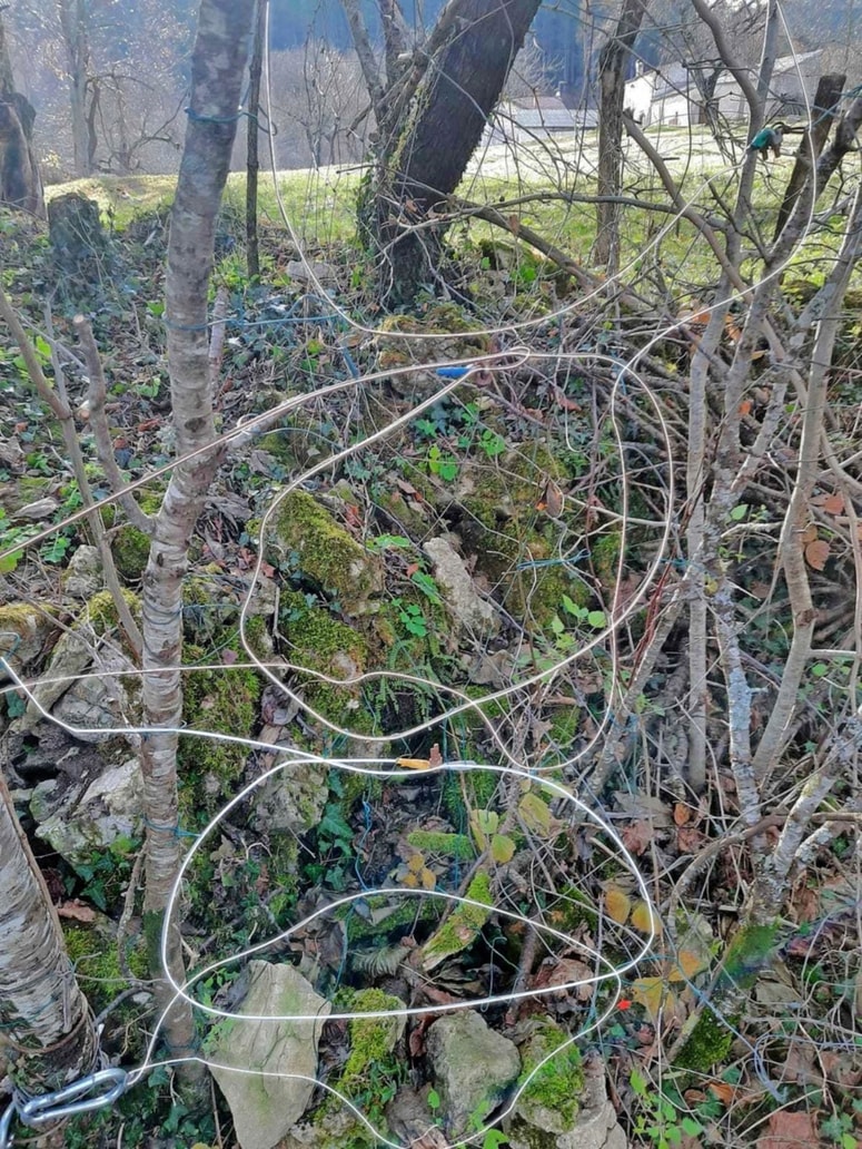 Krivolovec je namestil zanke v različnih višinah, da bi se vanje ujela vsaka divjad, ki bi hotela skozi.