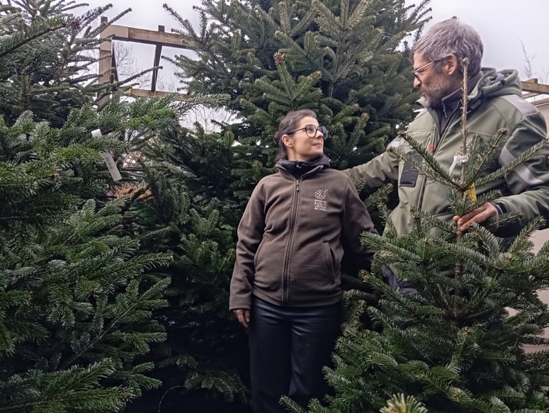 Tina in Miha Kuhar v vrtni delavnici na Lentu poudarjata, da je dobro, da sta sestra in brat, ker je ta vez tako močna, da premaga vse podjetniške težave in izzive. 