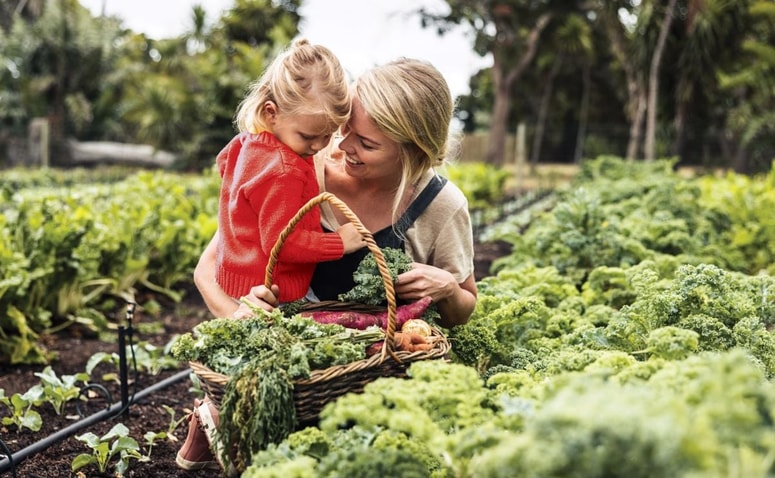 Glavna fotografija članka:Zavarovalnica Generali vam pomaga odgovorno načrtovati prihodnost