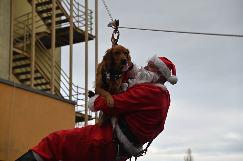 Glavna fotografija članka:(FOTO in VIDEO) Božičkom so se pri spustu s strehe pridružili reševalni psi