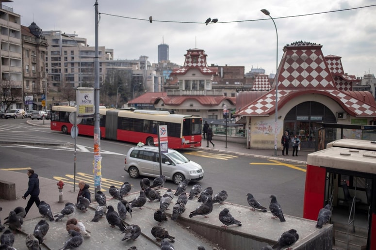 Beograjske mestne oblasti nameravajo vse avtobuse, tramvaje, trolejbuse zamenjati z novimi. 