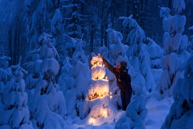 Glavna fotografija članka:Kolumna Denisa Živčeca: Svet gori, mi pa samo še delamo. Za položnice, želje in sanje, za katere nikoli ne bo časa